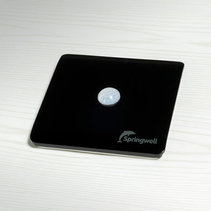 Black motion sensor with 'Springwell' logo on a white background