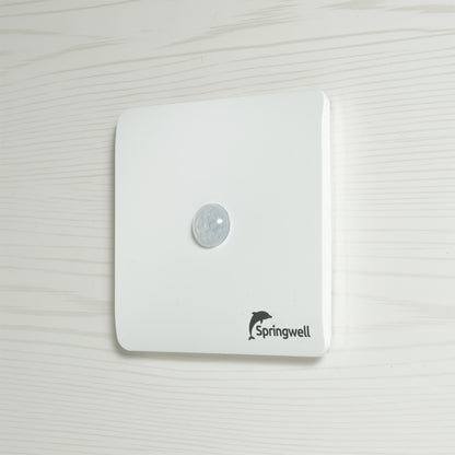 White Springwell motion sensor on a white background